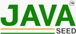 java seed